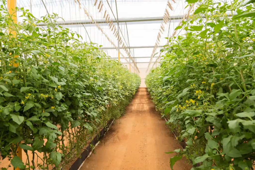 食用香精与日化香精调配技术差异及共性工艺分析