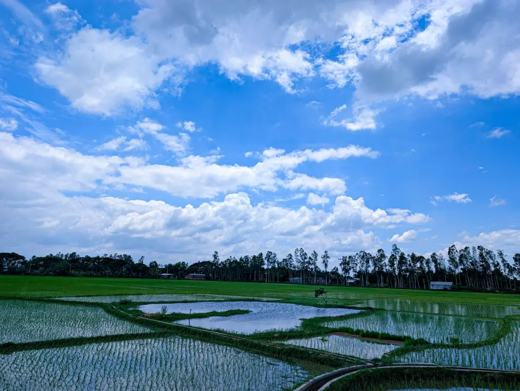 食用香精行业2024年新版国标解读及合规应用指南